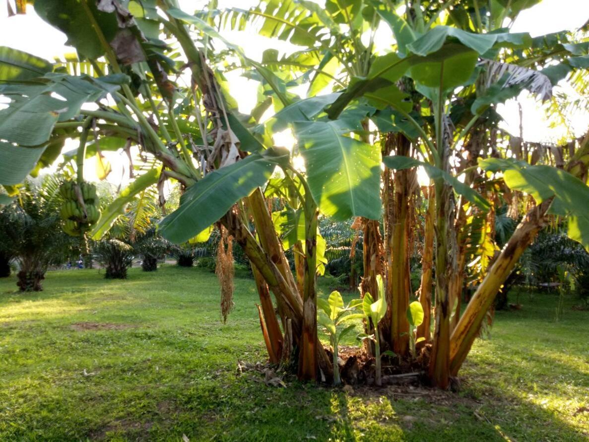 Baan Reenaa Lanta Ko Lanta Exteriér fotografie
