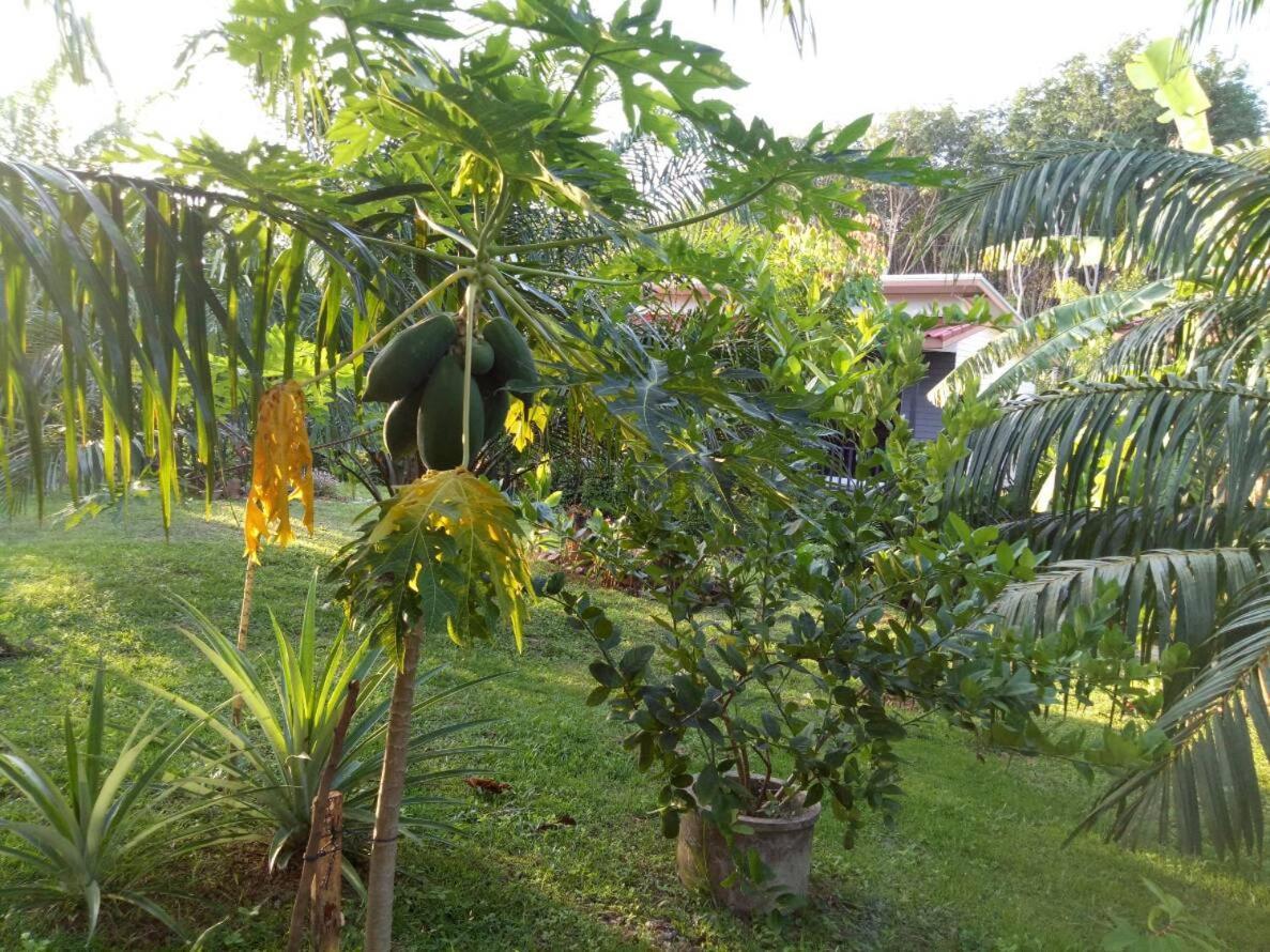 Baan Reenaa Lanta Ko Lanta Exteriér fotografie